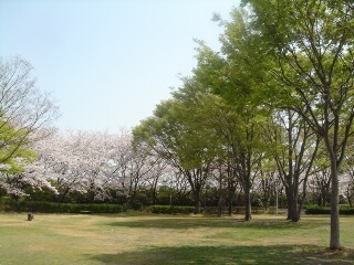 DSC07359s.JPG